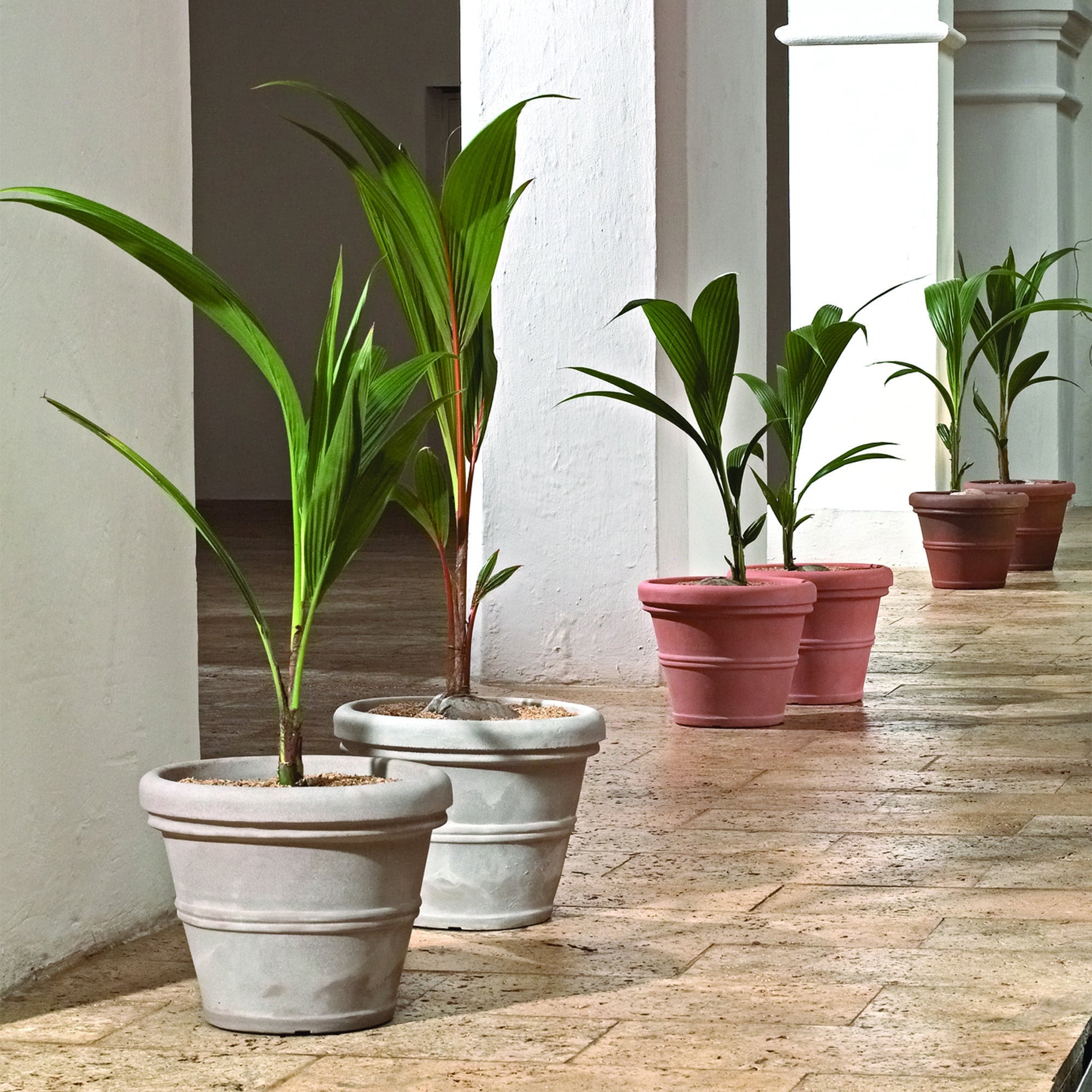 Columns Hallway with Brunello Rolled-Rim Planters Weathered in Concrete and in Terracotta
