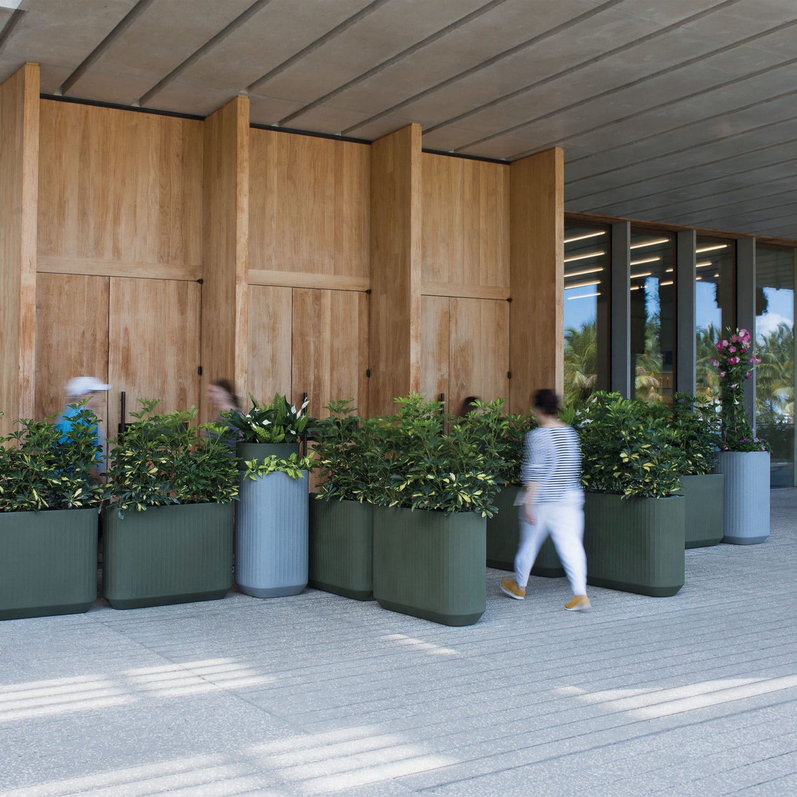 Entryway with Mod Planters