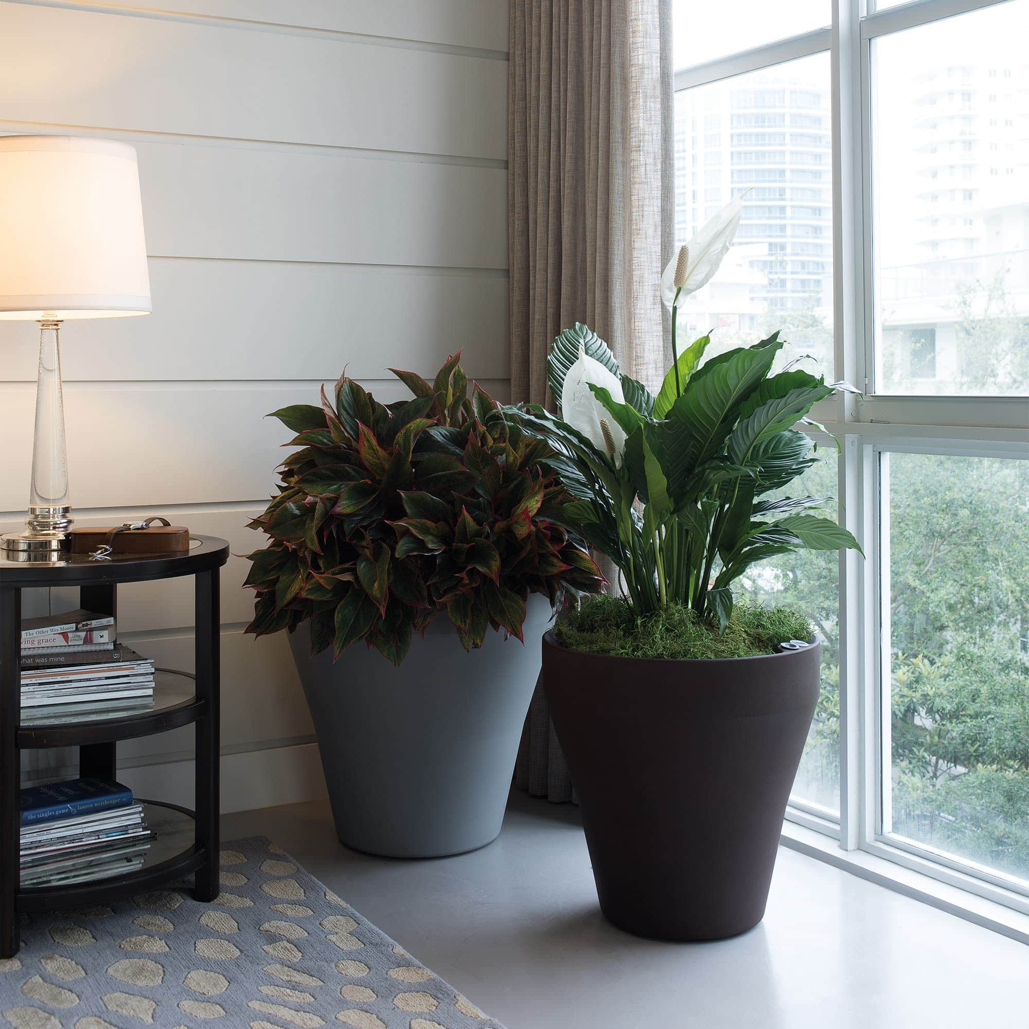 Indoor Decor with Rim Planters