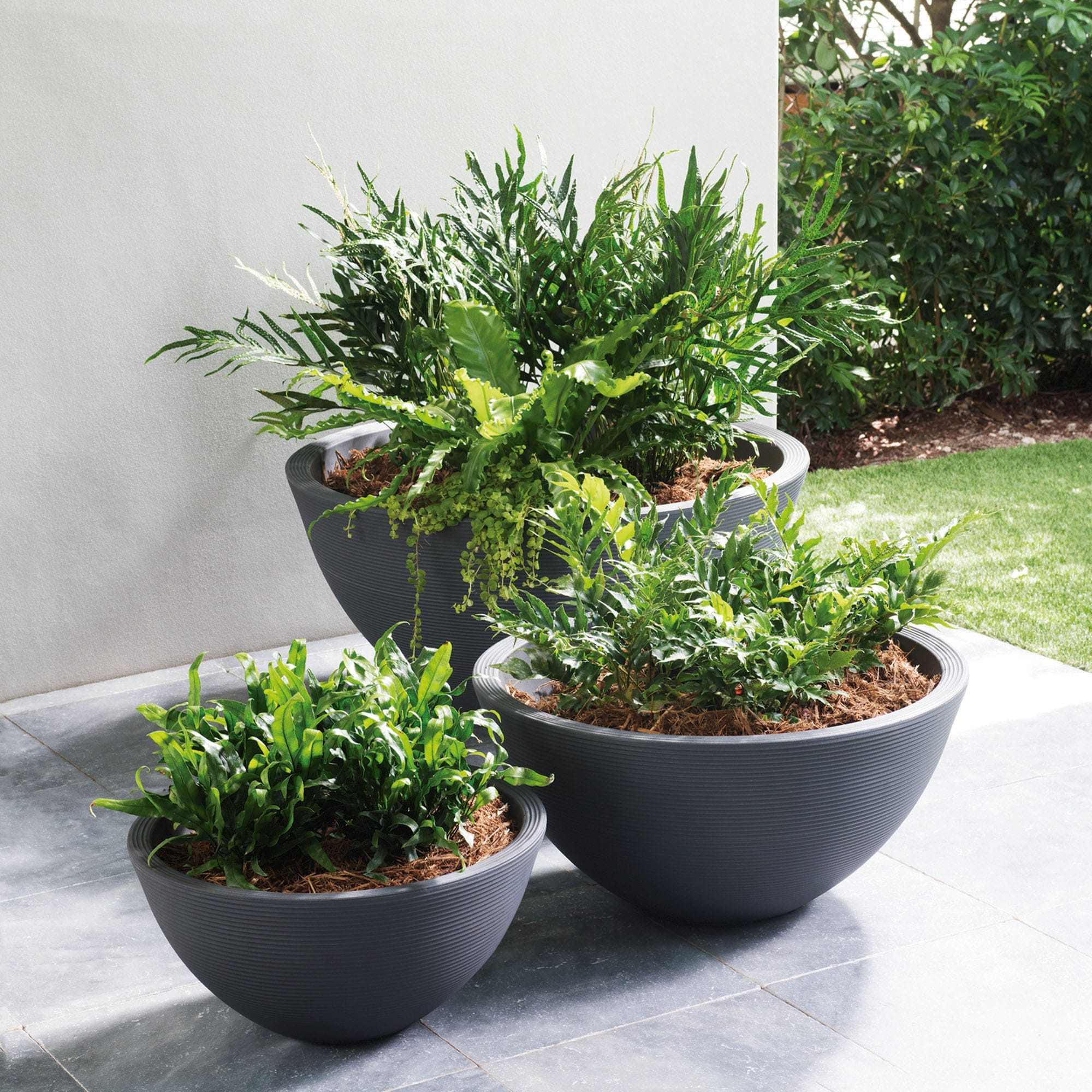 Outdoor Potted Trio of Delano Planters