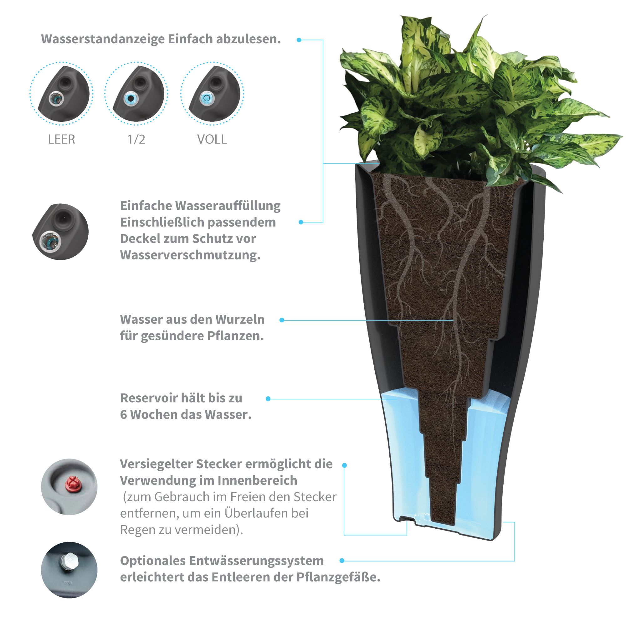 Cup planter TruDrop for German Infographic