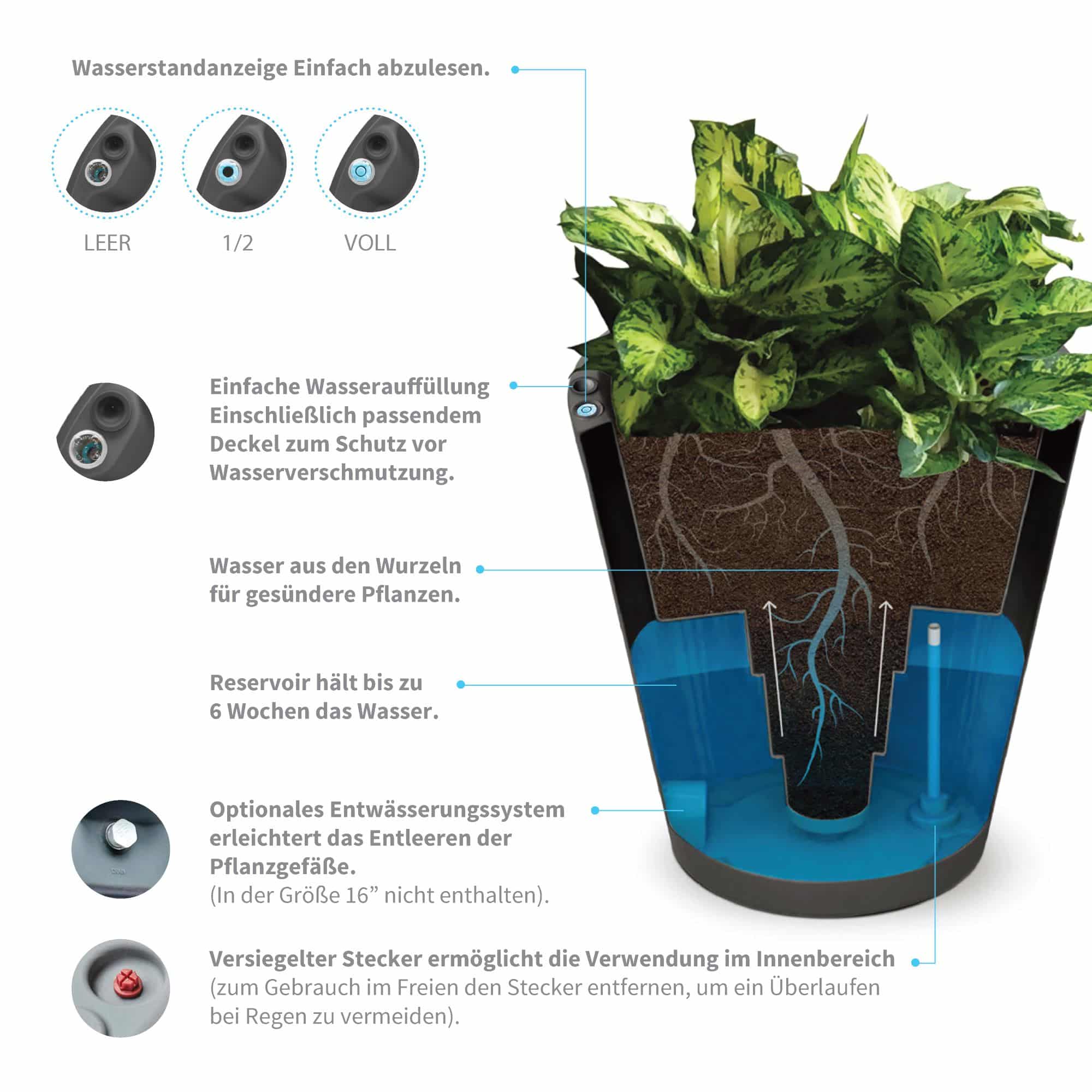 Dot Planter Infographic