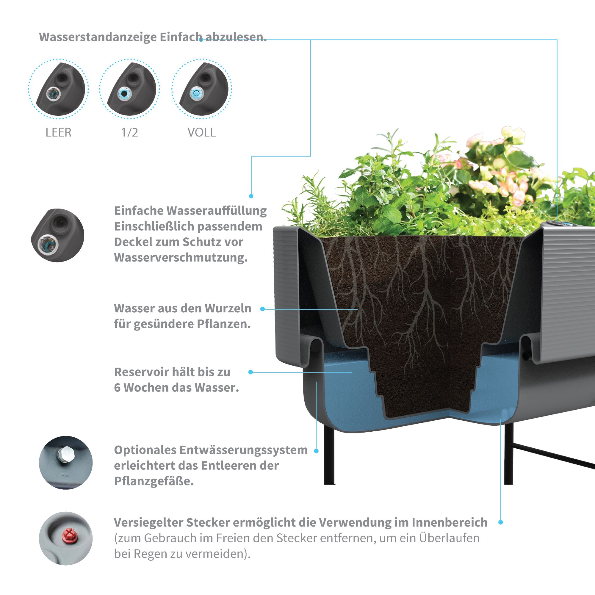 Nest planter infographic