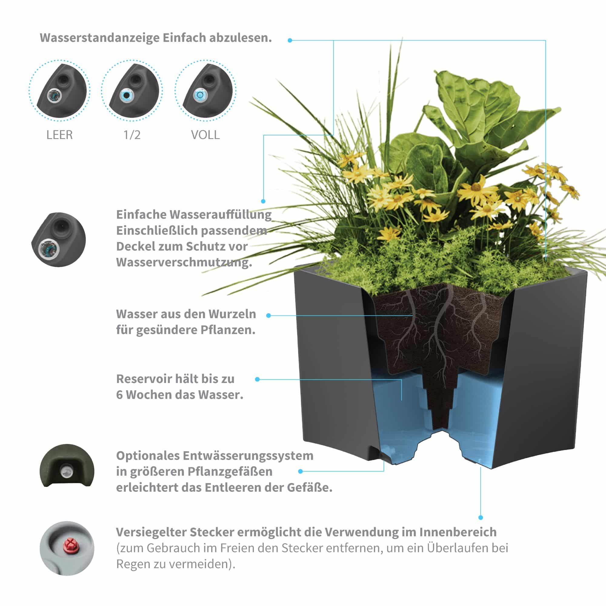 Pinch Planter Infographic for german site