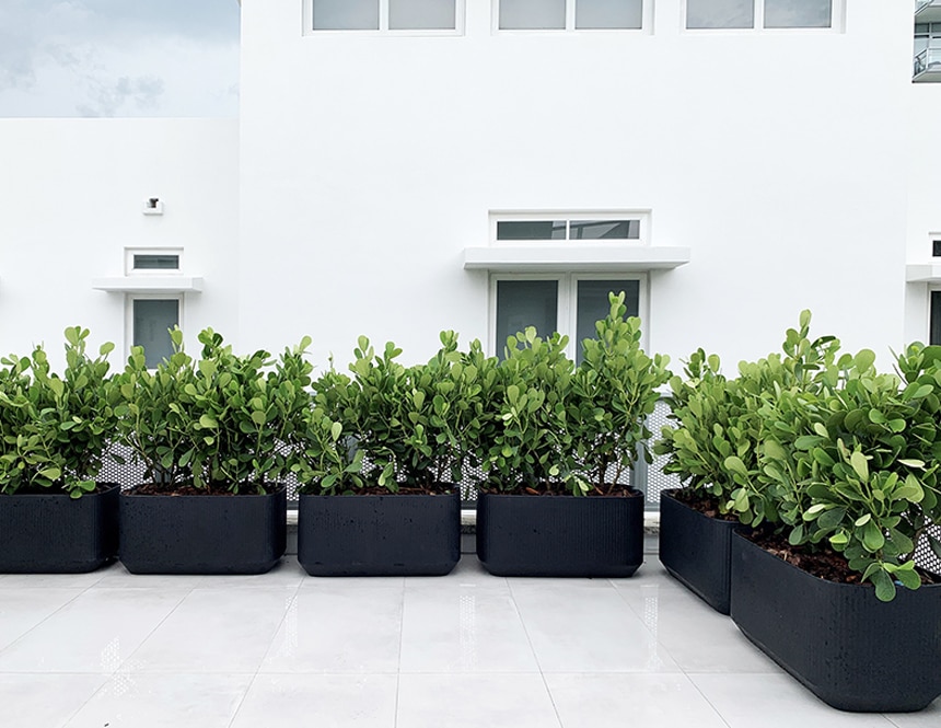 Black Rectangular planters modern for balcony and terrace